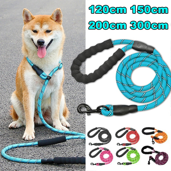 mountain dog leashes