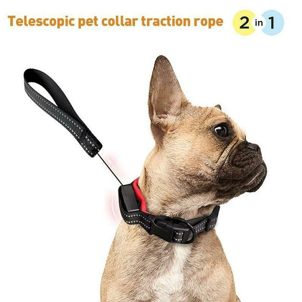 2 in 1 leash