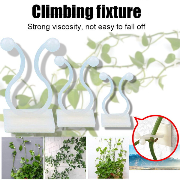 10/20PCS Invisible Plant Climbing Wall Sticky Hooks/Vines Fixing Clips Fixture 