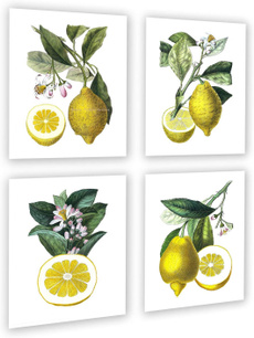 Pictures, Decor, lemon, Kitchen & Dining