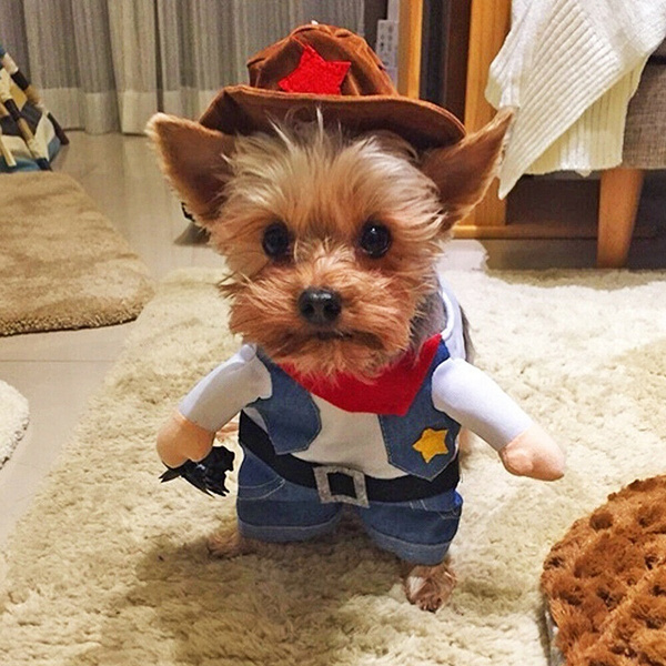 puppy cowboy costume
