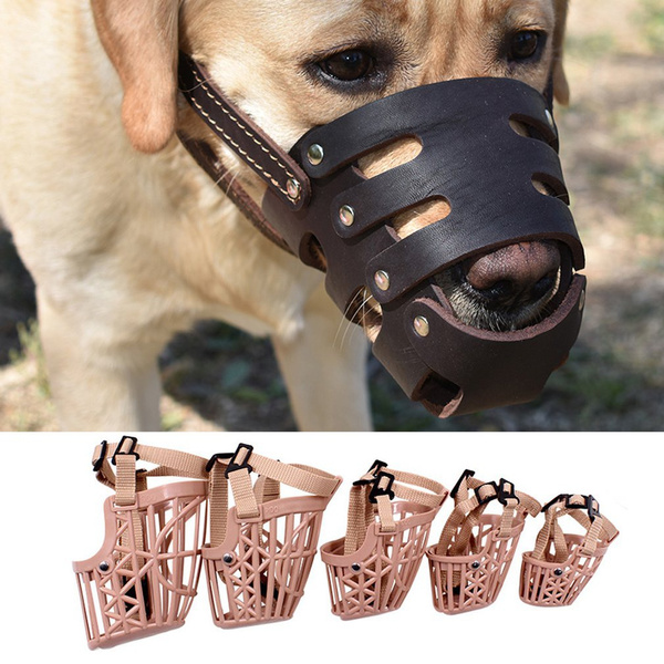 dog muzzle strap