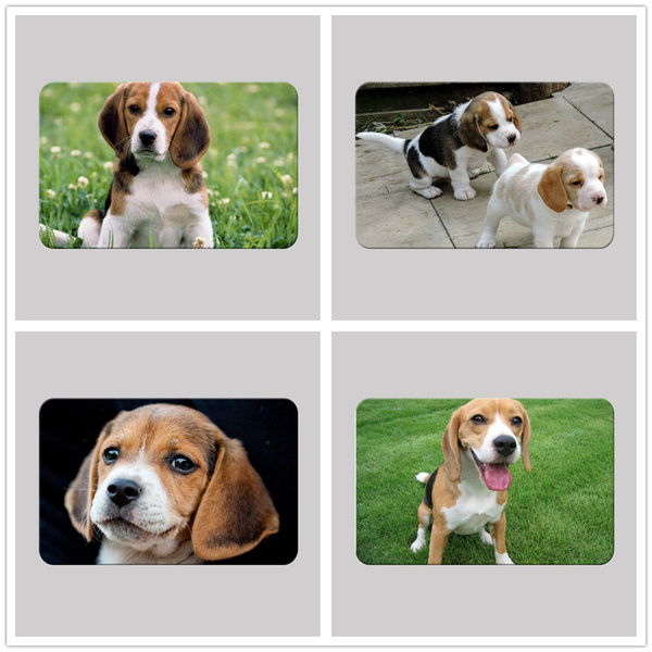 15 7x23 6 Beagles Dog Door Mat Digital Printing Foot Pad Bathroom Kitchen Bathroom Strip Absorbent Mat Wish