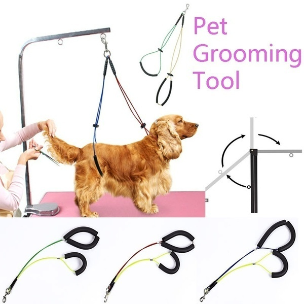 grooming table leash