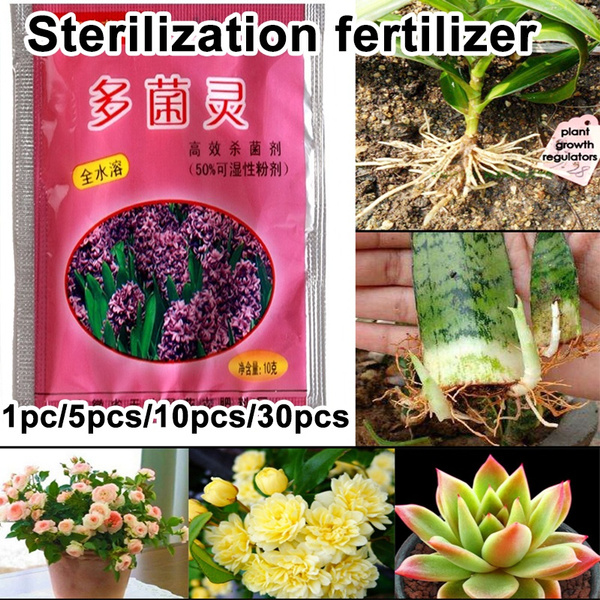 Details about   1/10PCS Carbendazim Bonsai Growth Hormone Sterilization Fertilizer O1O1 