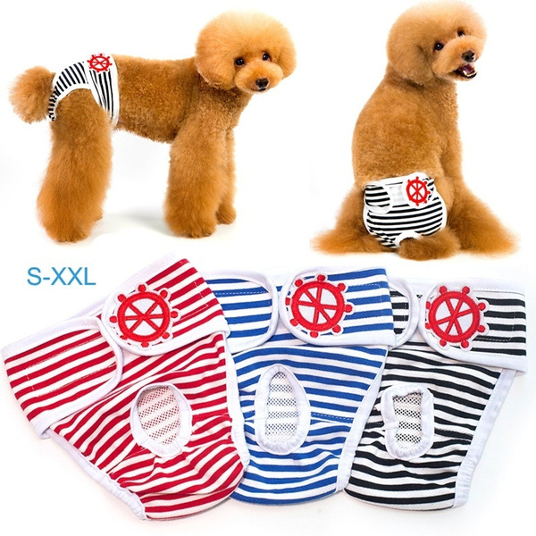 Culotte Pour Chat Couche Pour Chien Culotte Pour Chien Couche Pour Chien Femelle Couches Pour Chien Culotte Chien Couches De Chien Culotte Chat Wish Culotte Pour Chat Couche Pour Chien Culotte Pour Chien Couche Pour Chien Femelle Couches Pour Chien Culotte Chien Couches De Chien Culotte Chat Wish