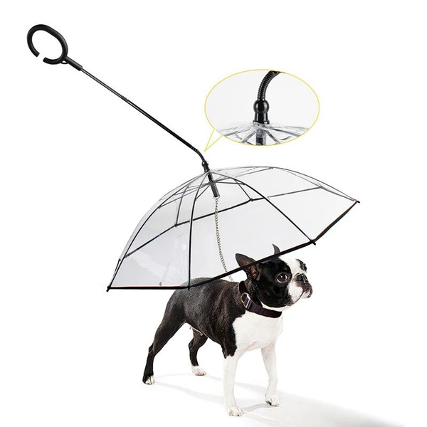 Dog leash clearance with umbrella