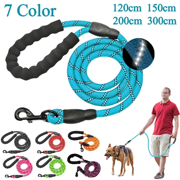 dog walking training leash