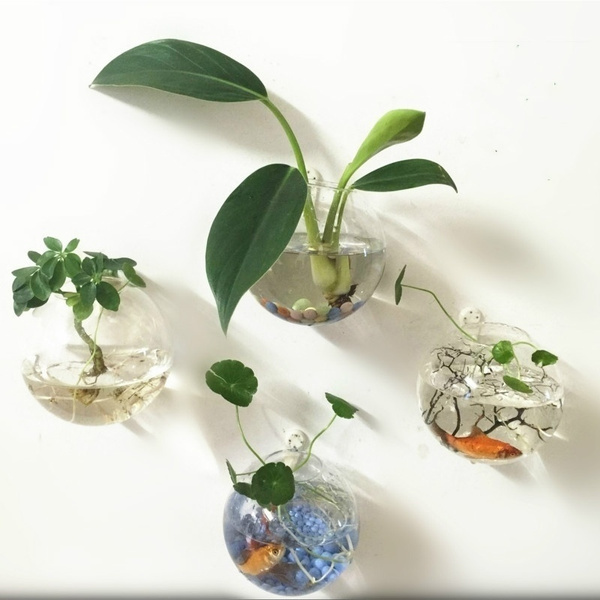 Fun Home Decor Wall Vase Ball Shape Glass Hanging Water Planter Goldfish Bowl Decorations Wish - Home Decor Wall Hangings Fun Home Decor Wall Vase Ball Shape Glass Hanging Water Planter Goldfish Bowl Decorations Wish - Home Decor Wall Hangings