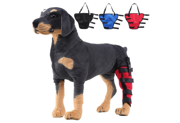 in hand dog leg brace