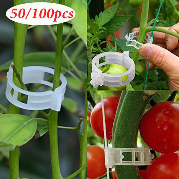 50/100pcs Reusable Plastic Plant Support Clips clamps For Plants ...