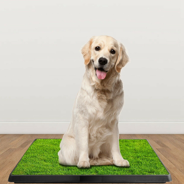 large pet potty patch