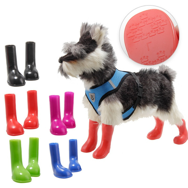 poodle rain boots