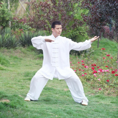 Cosplay, Outerwear, unisex, tai chi shirt