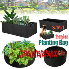 Box, plantgrowbag, flowersampplant, Flowers