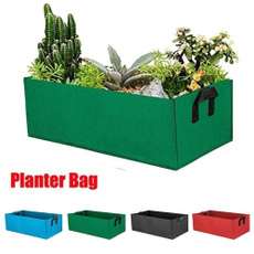 Box, Plants, Flowers, Garden