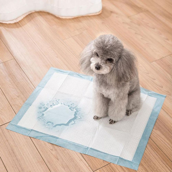puppy pee mat