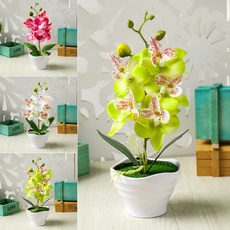 Bonsai, Plants, Flowers, artificialfake