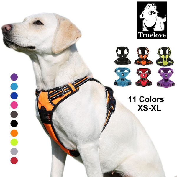 True love shop harness for dogs