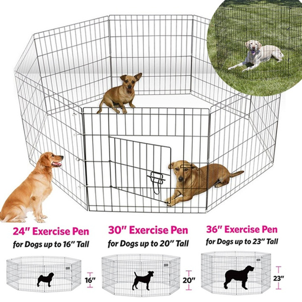 36 exercise pen