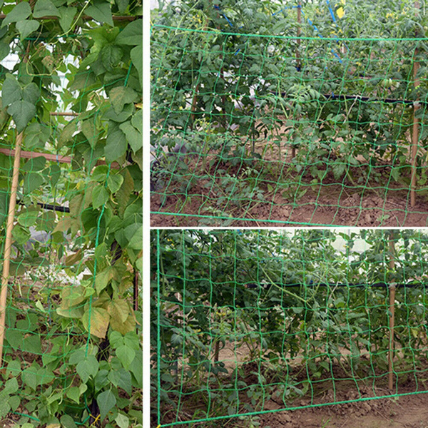 Nylon Trellis Netting Plant Support For Climbing Plants Garden Vine Net Wish Climbing Plants Garden Vine Trellis Net, Garden Vine Trellis