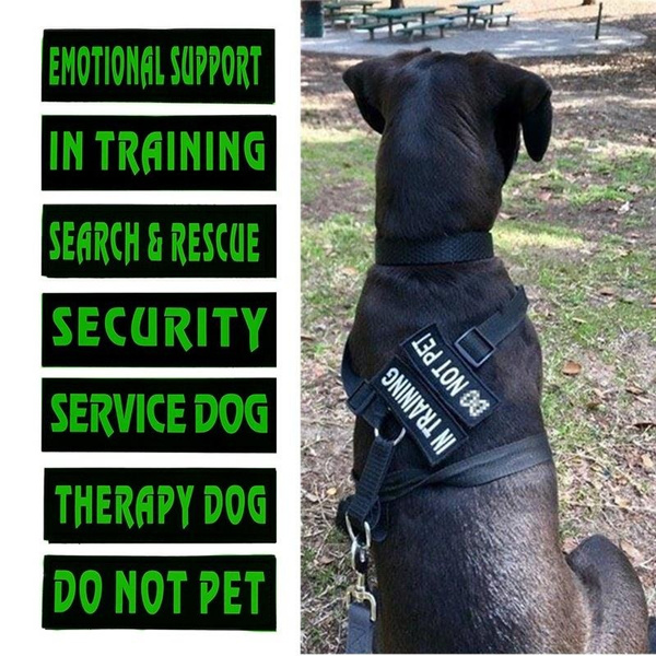 Trained emotional support sales dogs for adoption