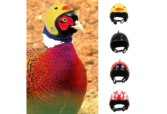 Duck Bird Hard Hat Small Supplies A7W0 Chicken Helmet For Pets A2D1 Hat