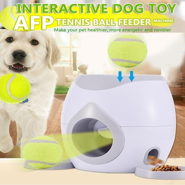 fetch and treat toy