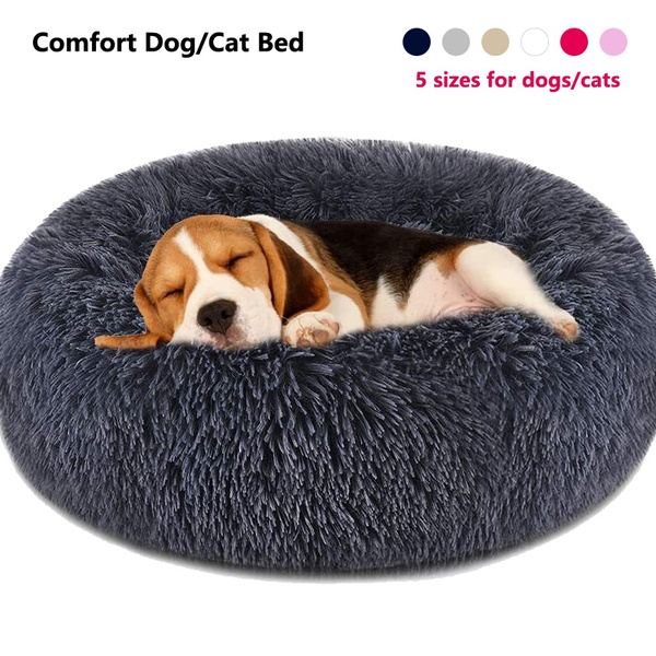 dog bed wish