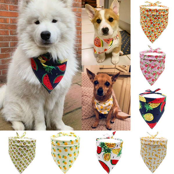 Wish hotsell dog accessories