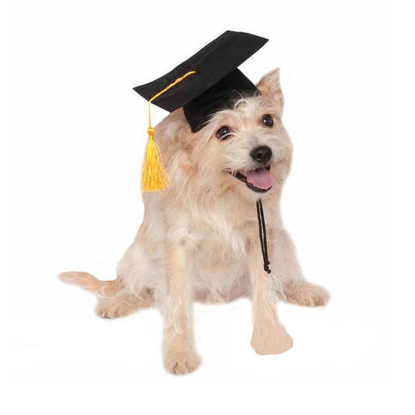 Funny Dress Up Cat Pet Graduation Cap 