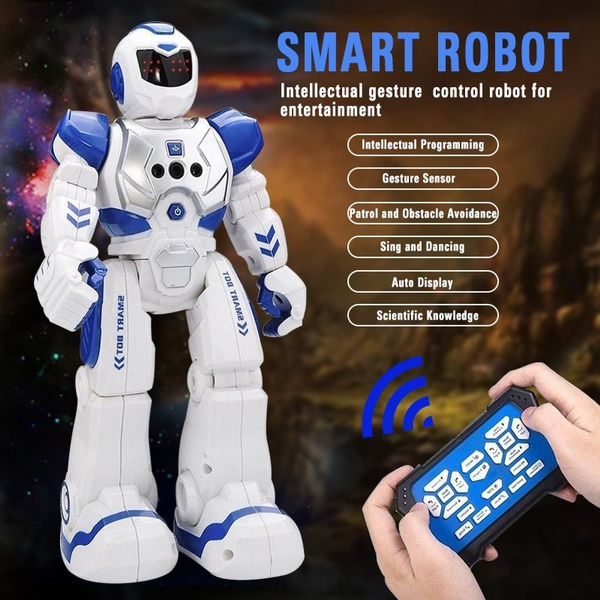 interactive remote control robot