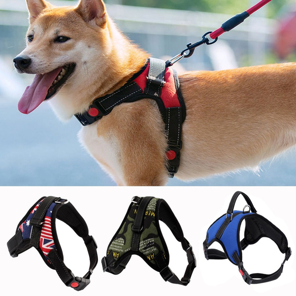 Chest collars 2025 for dogs