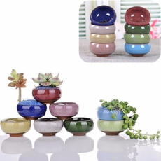 Bonsai, Mini, Plants, Ceramic