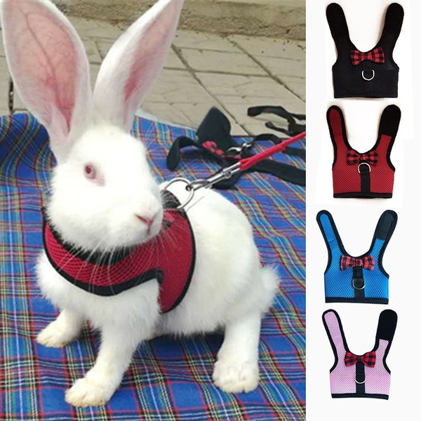 Walk Vest Harness & Leash For Small Animals Rabbits Ferrets Guinea Pig Cat 