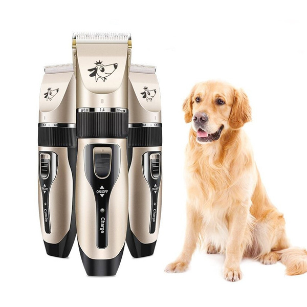 machine for dog haircut