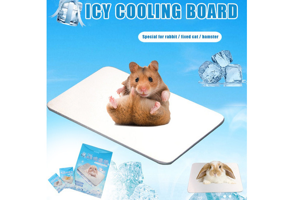 Chinchilla hotsell cooling pad