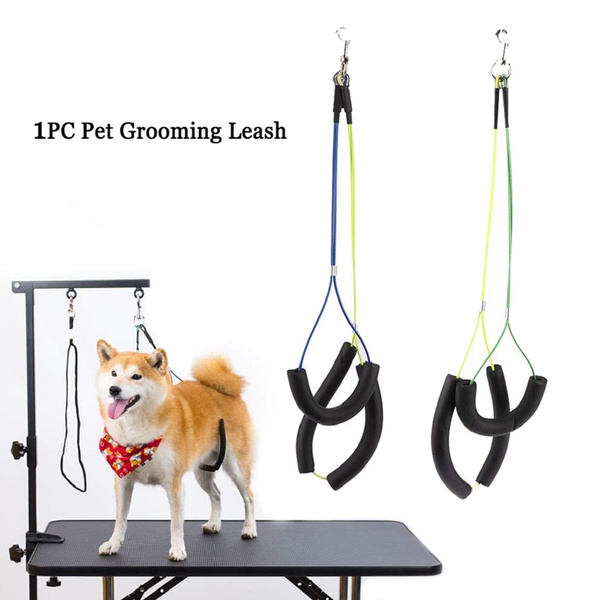 grooming leash