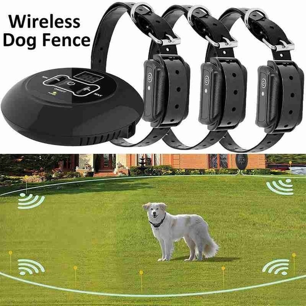 instant fence pet containment system