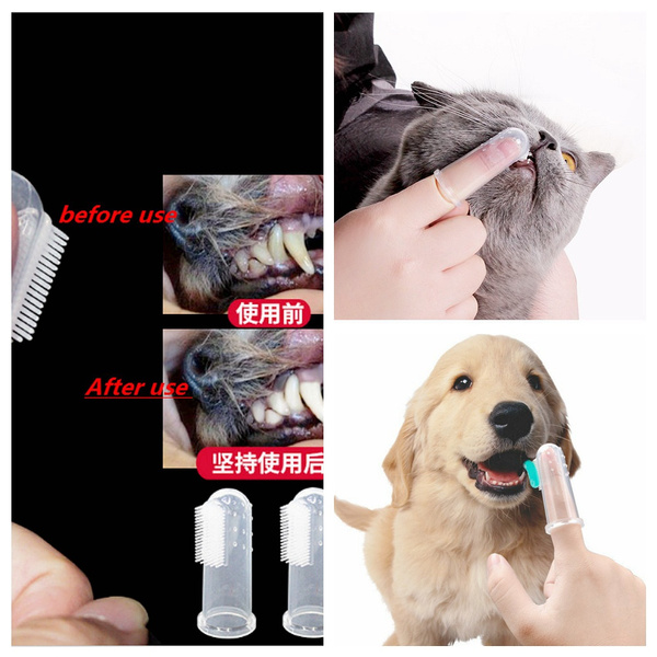 5 Brosses A Dents En Silicone Pour Chiens Brosse A Dents En Silicone Pour Doigt De Chat Brosse A Dents Transparente En Silicone Souple Pour Animaux De Compagnie Fournitures De Nettoyage