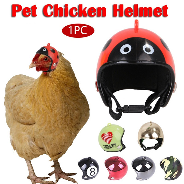 Chicken Helmet For Pets Supplies A7W0 Bird A2D1 Hat Duck Hard Hat Small