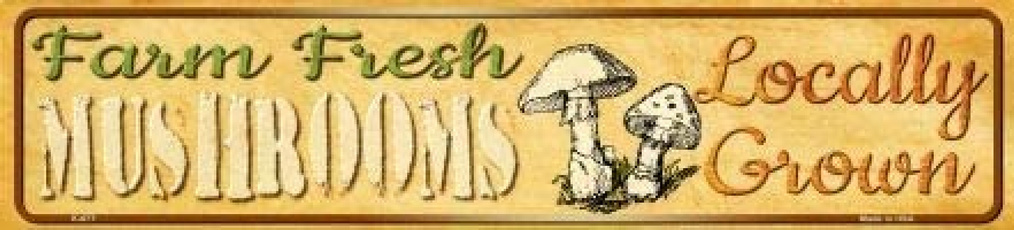 Mini, Mushroom, Farm, bargain