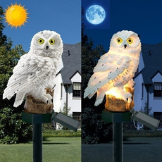 Owl, lights, led, Garden