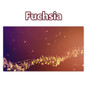 thumbnail - 6