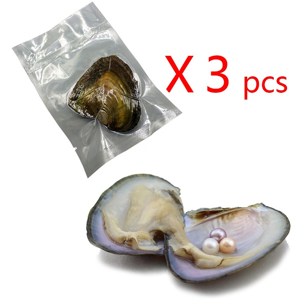 oyster with pearl shopee