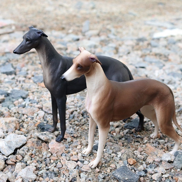 toy greyhound dog