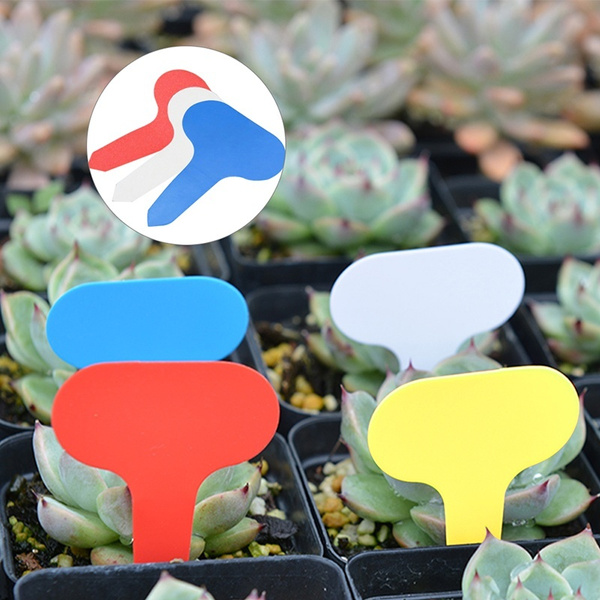 100Pcs Plastic Plant Pot Markers Gardening T-type Stake Tags Nursery Labels