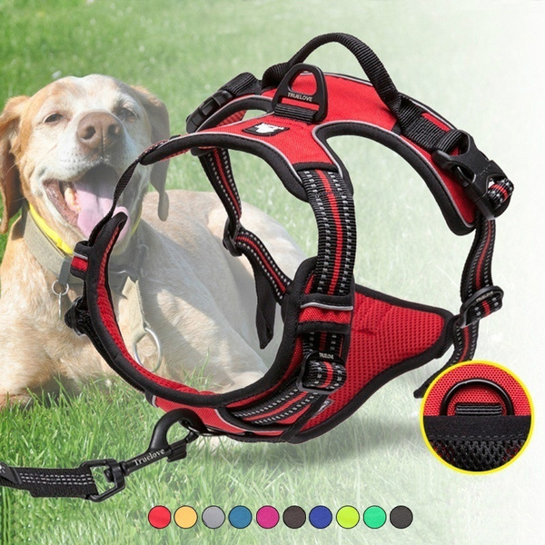 wish dog harness