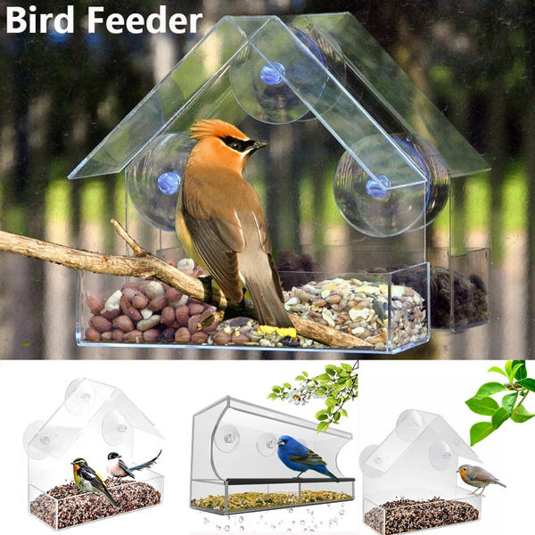 bird feeder wish