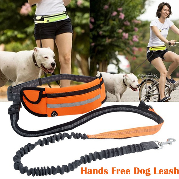 hands free jogging leash